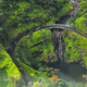 Illustration for article titled Five most dangerous roads in the world